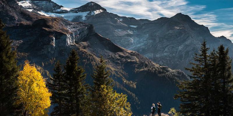 Network Technology 14:以系统集成与定制软件为核心的现代IT服务转型