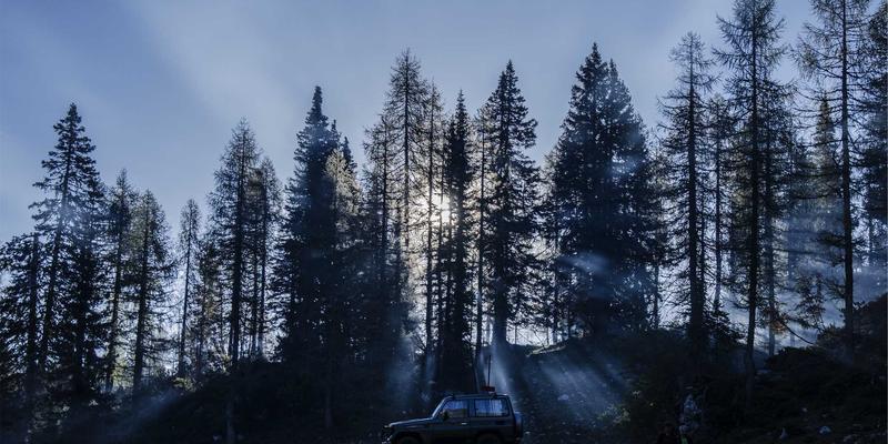 Network Technology 57：驱动现代数字生态的三大核心技术支柱