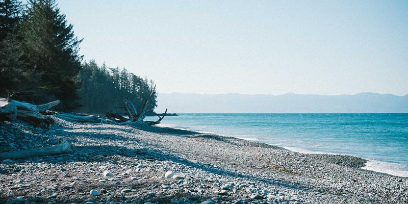 Network Technology 58：企业数字化转型的基石与未来