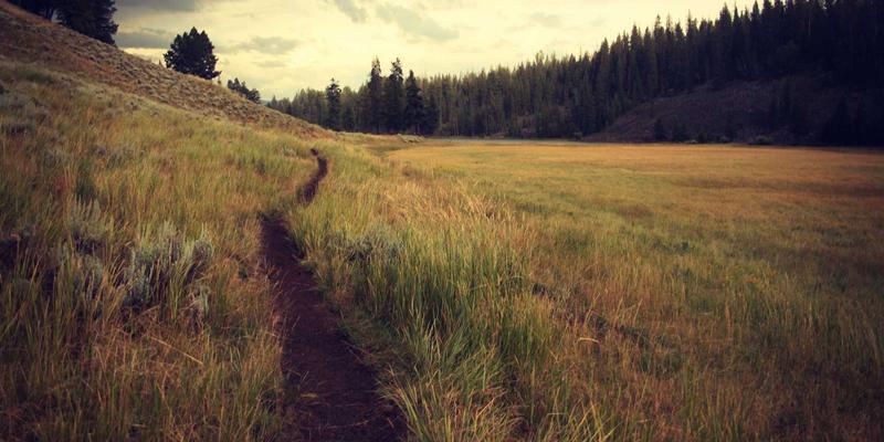 Network Technology 65：软件与网络融合如何重塑企业数字化转型