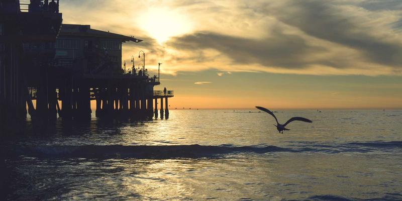 Network Technology 68:定制化软件与IT咨询如何重塑企业网络竞争力