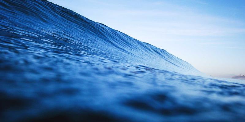 Network Technology 69：定制软件与Web开发如何重塑企业数字架构