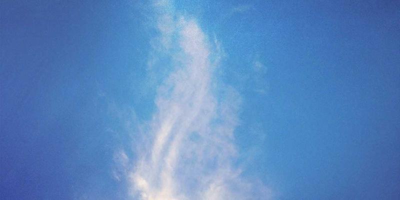 Network Technology 72：驱动现代Web开发与IT服务的核心引擎