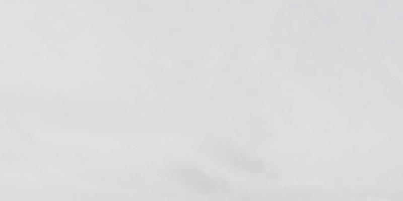 Network Technology 91：系统集成、网站开发与IT咨询如何驱动企业数字化转型