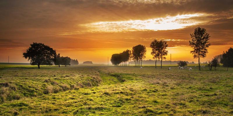 Network Technology攻略:从System Integration到Software Development的IT Services全景解析