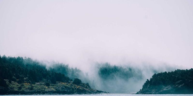 从NFV到CNF：定制软件开发如何重塑企业网络架构