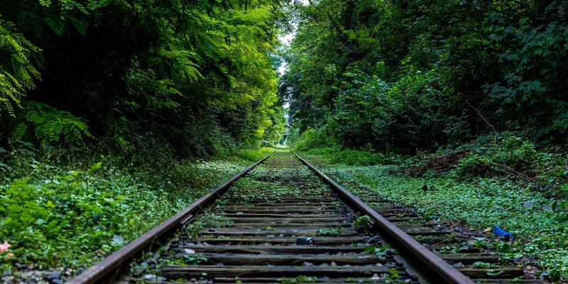 从人工配置到业务自动化：基于意图的网络（IBN）如何重塑软件开发与IT咨询