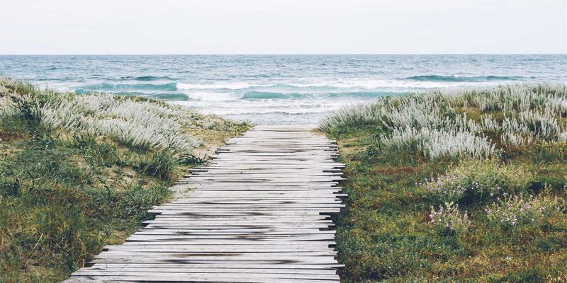 从虚拟化到云原生：网络功能演进如何重塑Web开发与系统集成