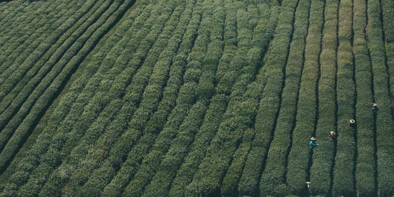 定制软件与系统集成：SDN如何通过软件开发重构数据中心架构