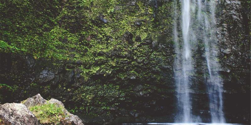 定制软件与系统集成视角下：MPLS在SD-WAN中的现代演进与混合组网策略