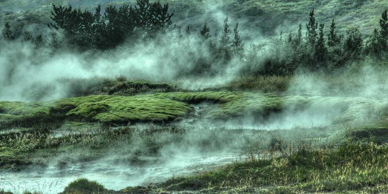 容器网络接口（CNI）对比与选择：IT咨询与系统集成的关键决策