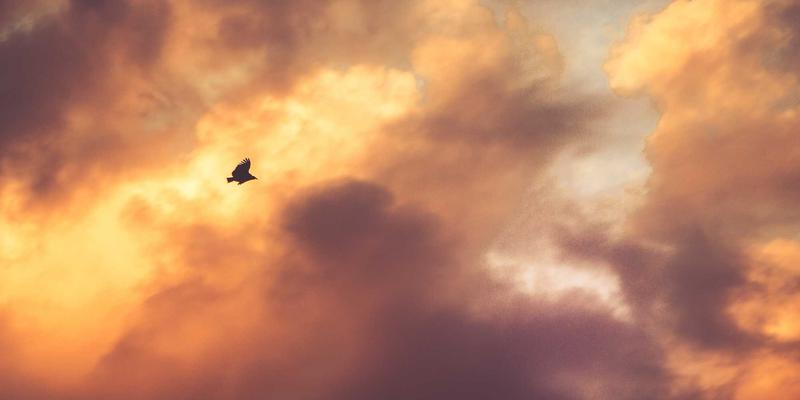 意图驱动网络：AI如何通过系统集成与软件开发重塑网络自动化与策略执行