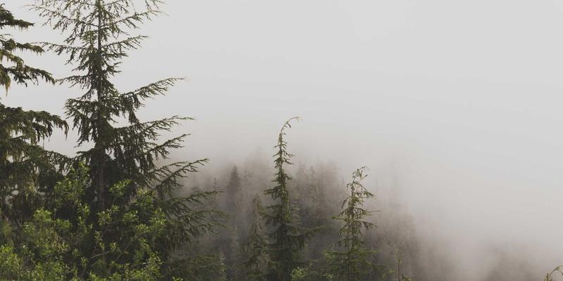 数据中心网络架构演进：从Clos Spine-Leaf到可编程交换芯片如何重塑Web开发与系统集成