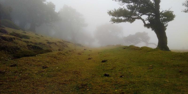 构建未来安全防线：零信任网络模型如何重塑软件开发与IT服务