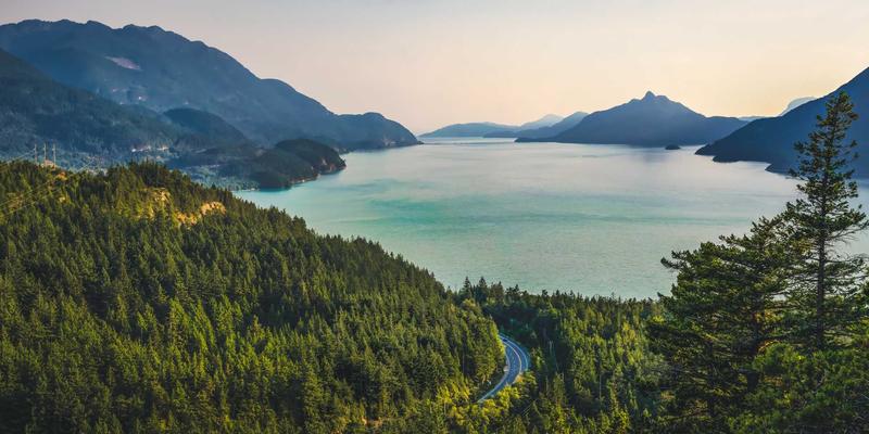 物联网设备身份认证与网络准入控制：Web开发与IT咨询服务的智能安全基石