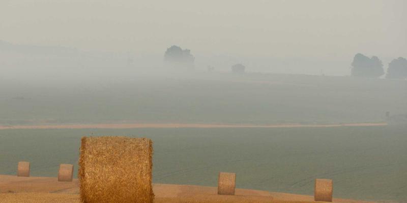 系统集成与IT咨询视角：NFV如何重塑运营商成本结构