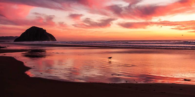 系统集成与软件开发新范式：边缘计算与网络融合如何重塑低延迟工业应用