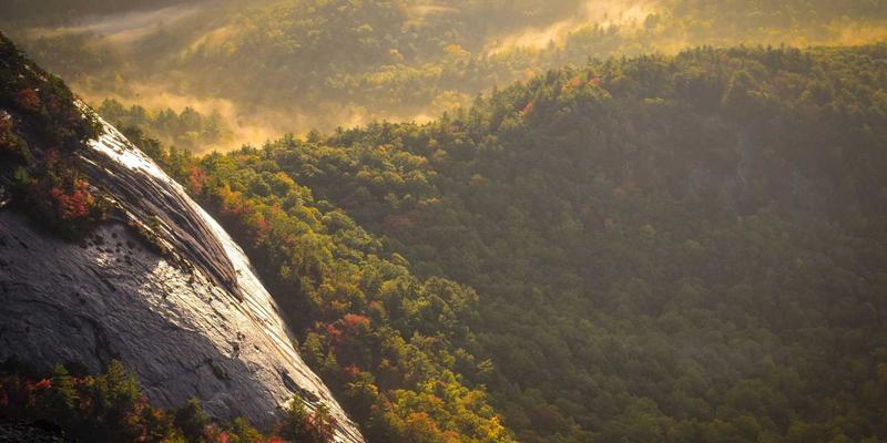 系统集成新基石：时间敏感网络（TSN）技术如何重塑工业自动化与物联网