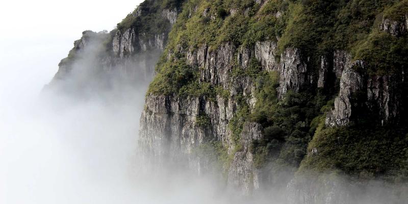 网络技术86：驱动现代Web开发与IT服务的核心引擎