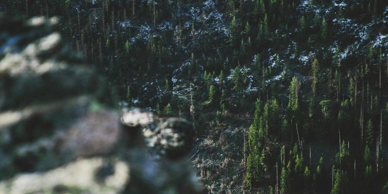 网络技术与系统集成新范式：边缘计算如何重塑软件开发与实时数据处理生态