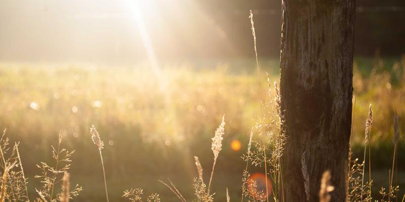 网络技术与软件开发融合：多接入边缘计算中的智能编排与资源管理策略