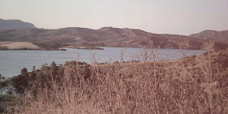 网络技术如何重塑软件开发:定制化解决方案的核心驱动力