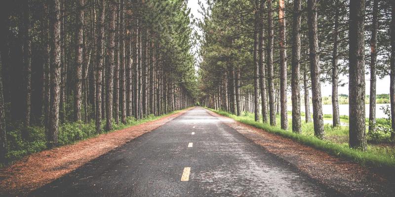 网络技术新浪潮：定制软件与专业IT服务如何重塑企业竞争力