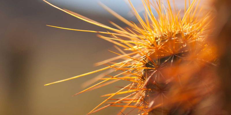 驾驭网络技术90时代：IT咨询如何赋能企业软件开发的战略转型